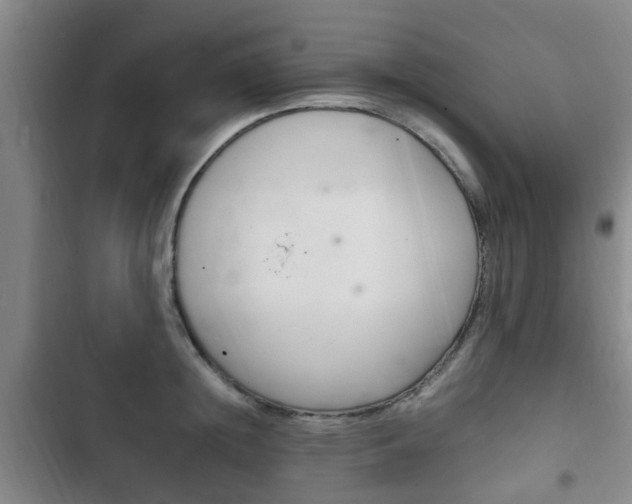X0000102760852200808180930