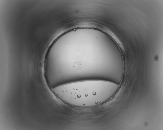 X0000102760853200808180930