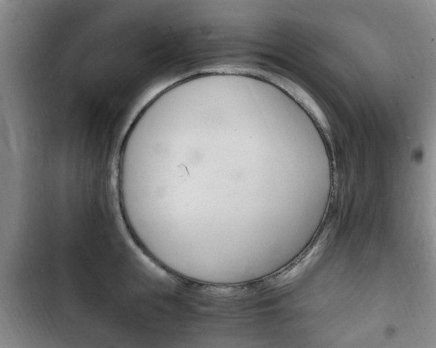 X0000102760855200808180930