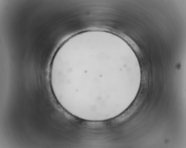X0000102760856200808180930
