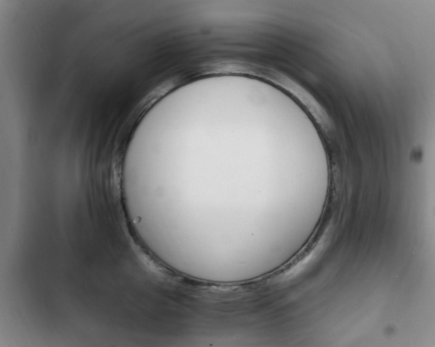 X0000102760857200808180930