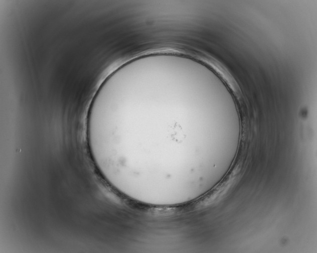 X0000102760858200808180930