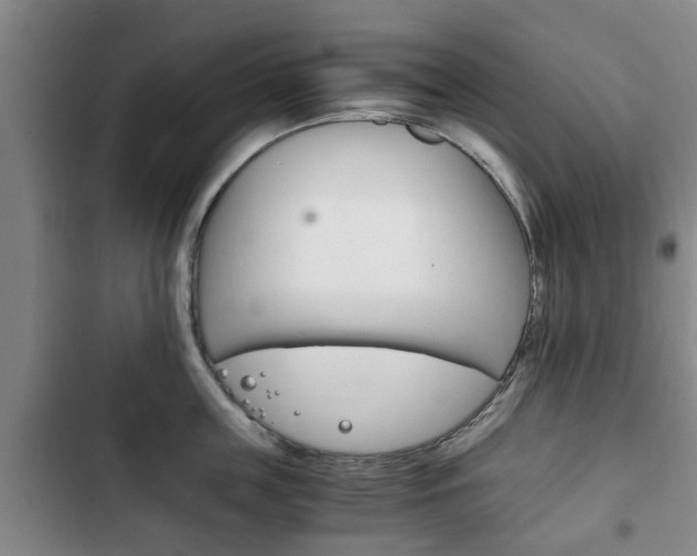 X0000102760859200808180930