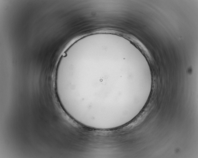 X0000102760860200808180930