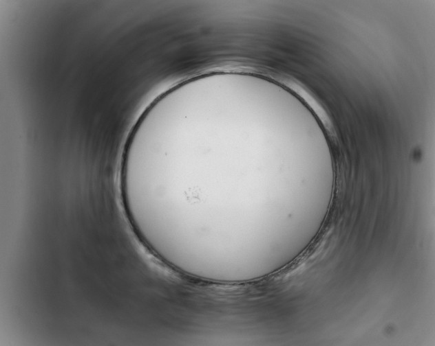 X0000102760861200808180930