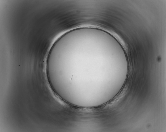 X0000102760862200808180930