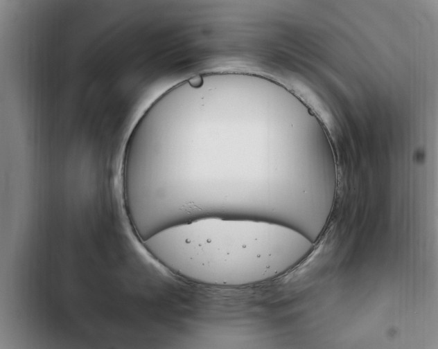 X0000102760863200808180930