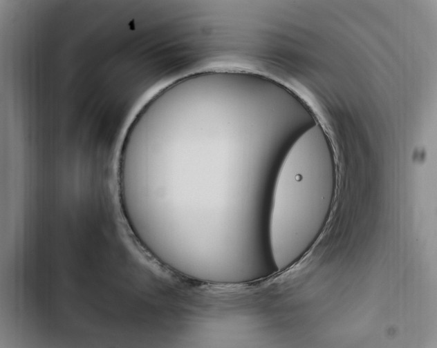 X0000102760864200808180930