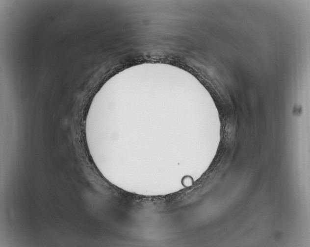 X0000102760865200808180929