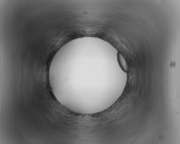 X0000102760866200808180929