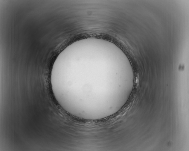 X0000102760867200808180929