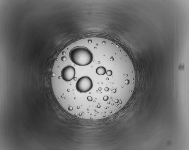 X0000102760868200808180929