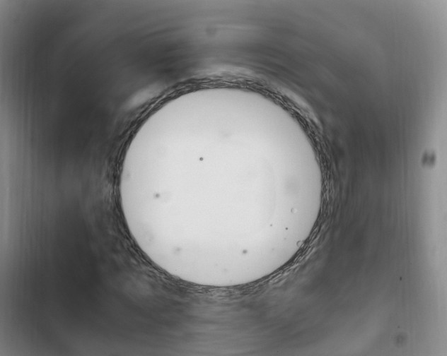X0000102760869200808180929