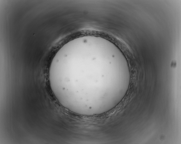 X0000102760870200808180929