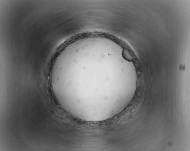 X0000102760871200808180929