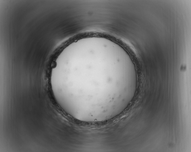 X0000102760872200808180929