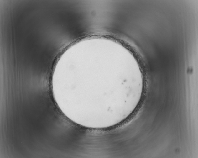 X0000102760873200808180929