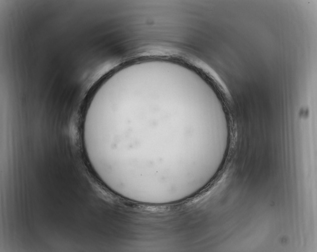 X0000102760874200808180929