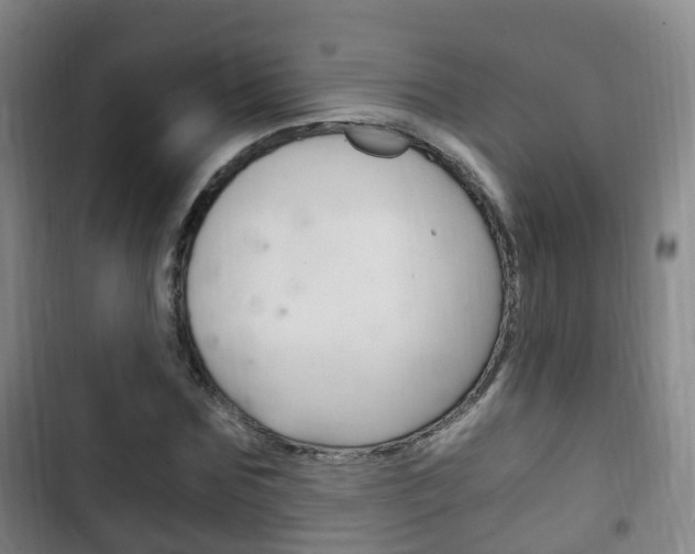 X0000102760875200808180929