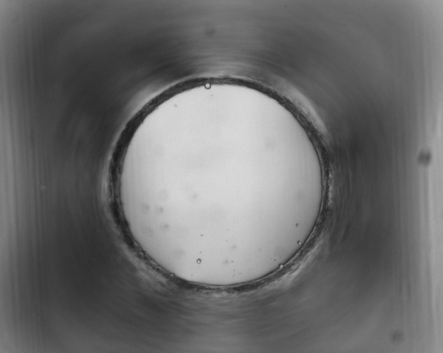 X0000102760876200808180929