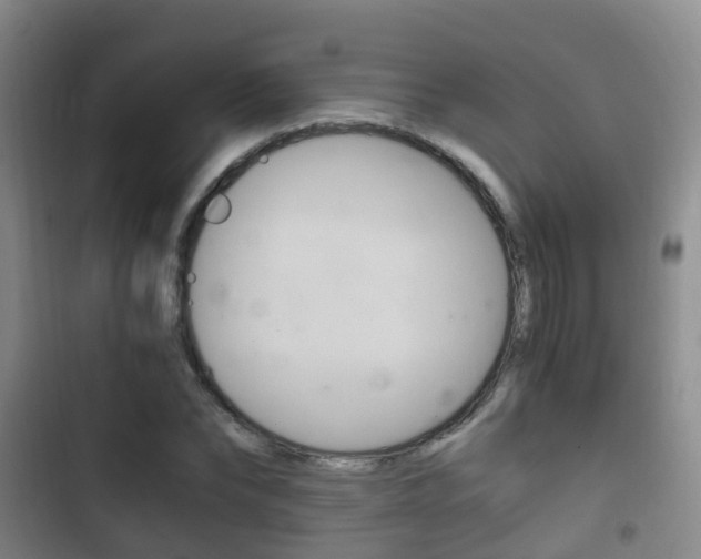 X0000102760878200808180929