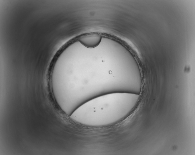 X0000102760879200808180929