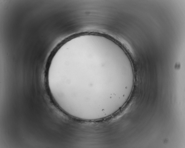 X0000102760880200808180929