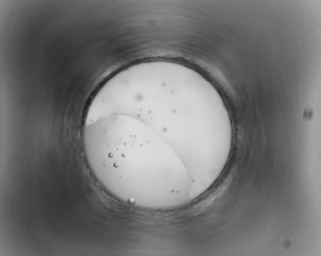 X0000102760881200808180929