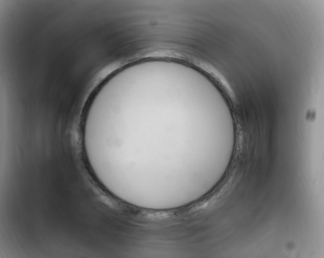 X0000102760882200808180929