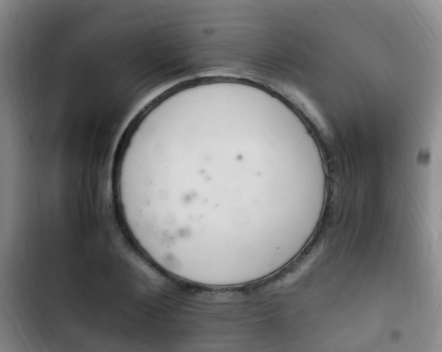 X0000102760884200808180929