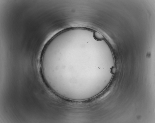 X0000102760885200808180929