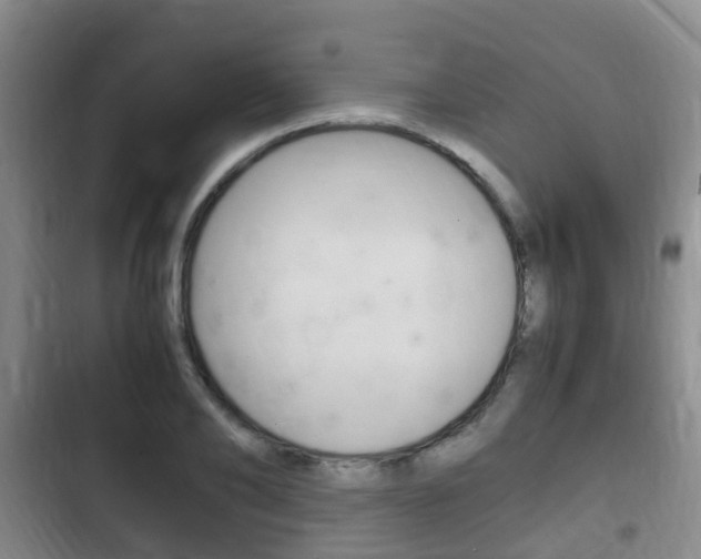 X0000102760886200808180929