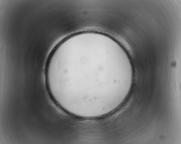 X0000102760888200808180929