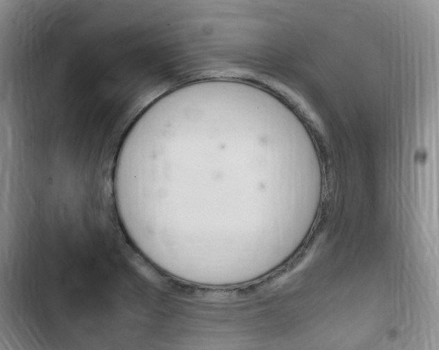 X0000102760889200808180929
