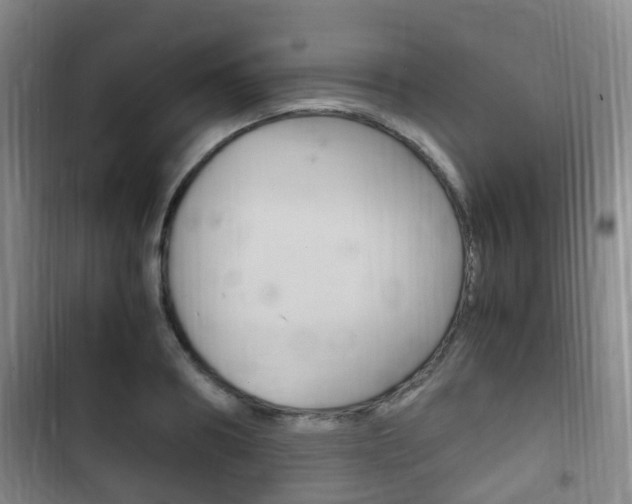 X0000102760890200808180929