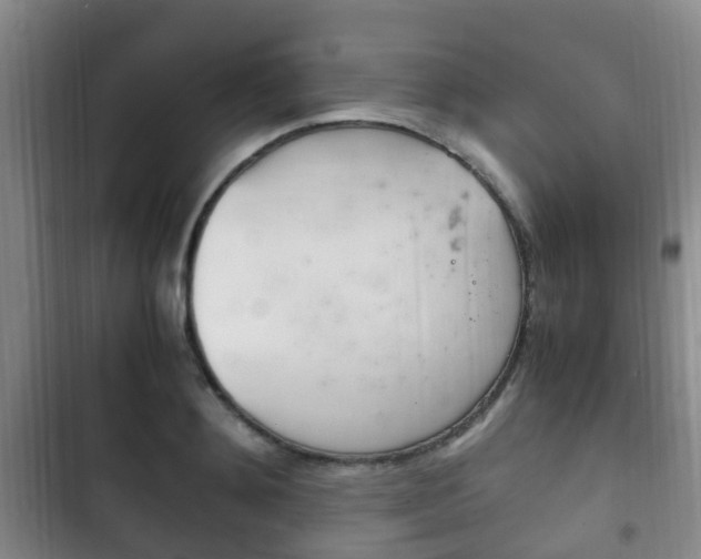 X0000102760892200808180929