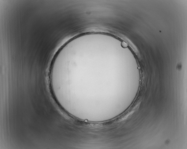 X0000102760893200808180929