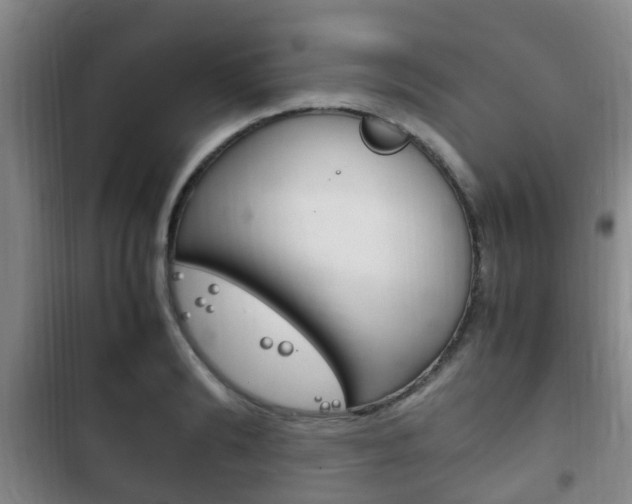 X0000102760894200808180929
