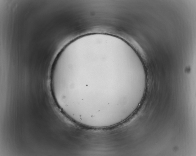X0000102760896200808180929