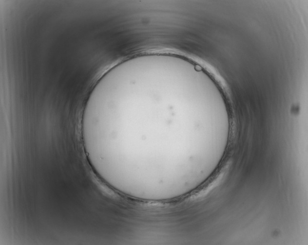 X0000102760897200808180929