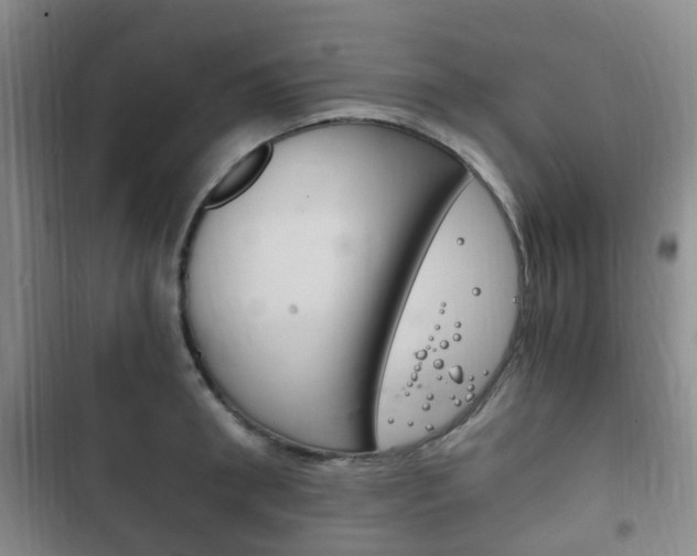 X0000102760898200808180929