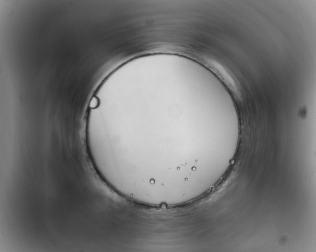 X0000102760900200808180929