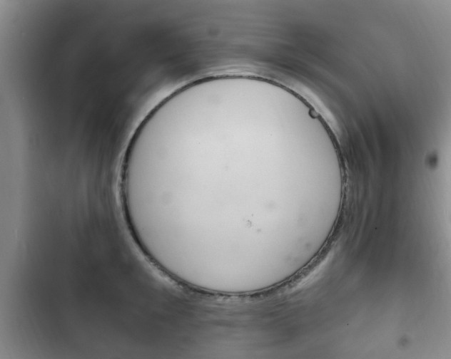 X0000102760901200808180929