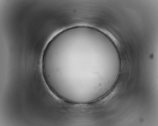 X0000102760902200808180929