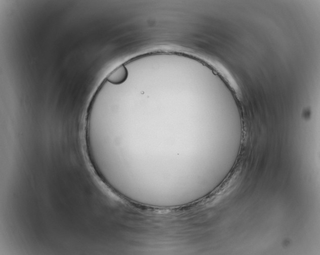 X0000102760903200808180929