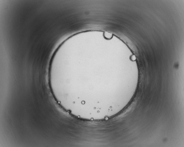 X0000102760904200808180929