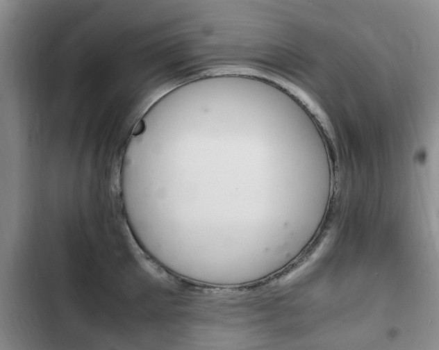 X0000102760905200808180929