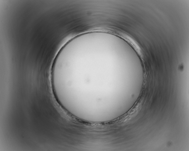 X0000102760907200808180928