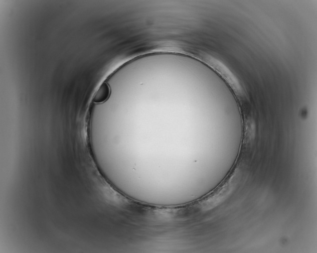 X0000102760908200808180928