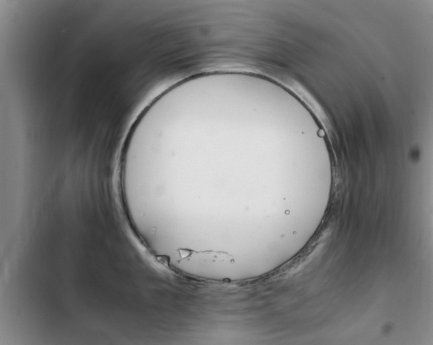 X0000102760909200808180928